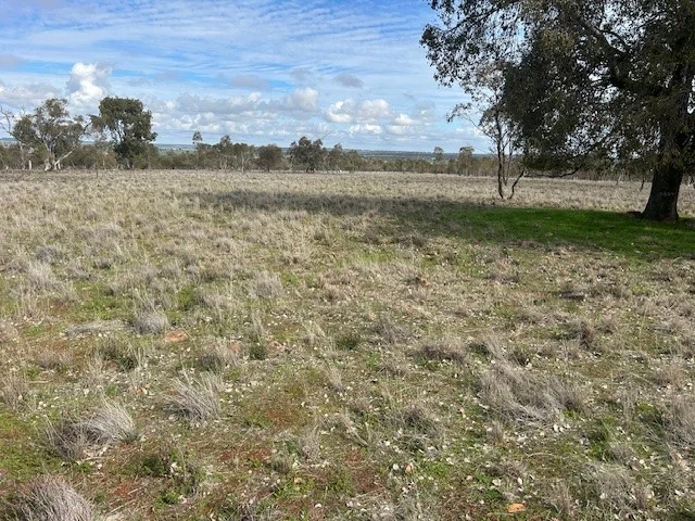 Additional image 12 of 418 Donaldsons Road, Corbie Hill NSW 2705