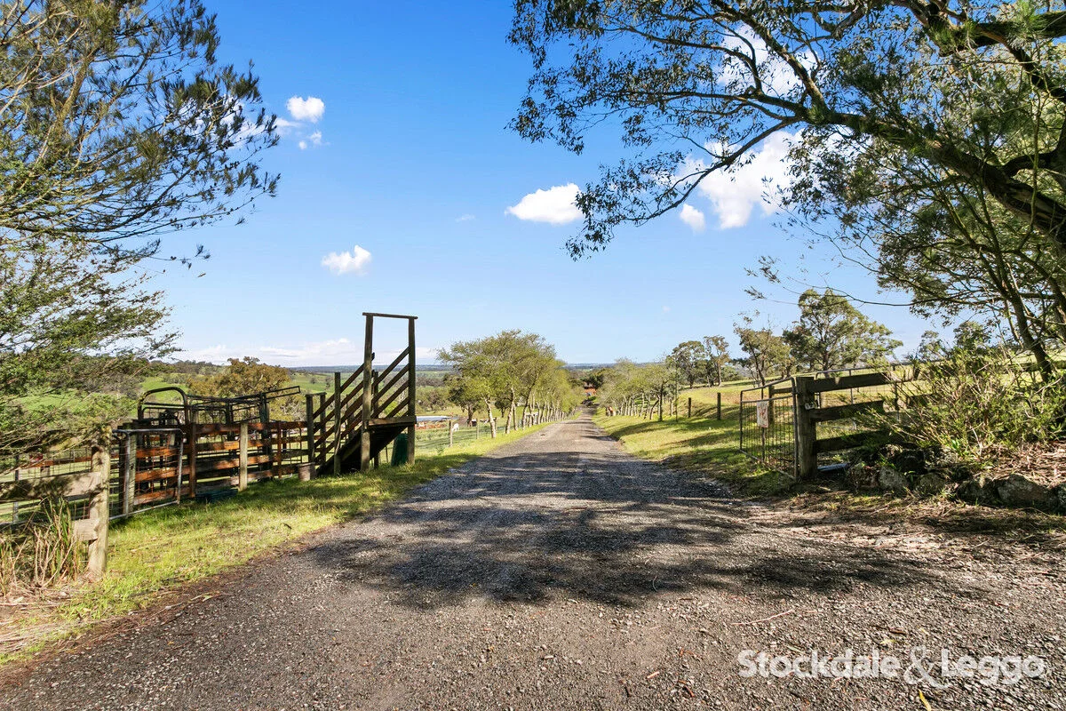 Additional image 5 of 175 Early Road, Tanjil South VIC 3825