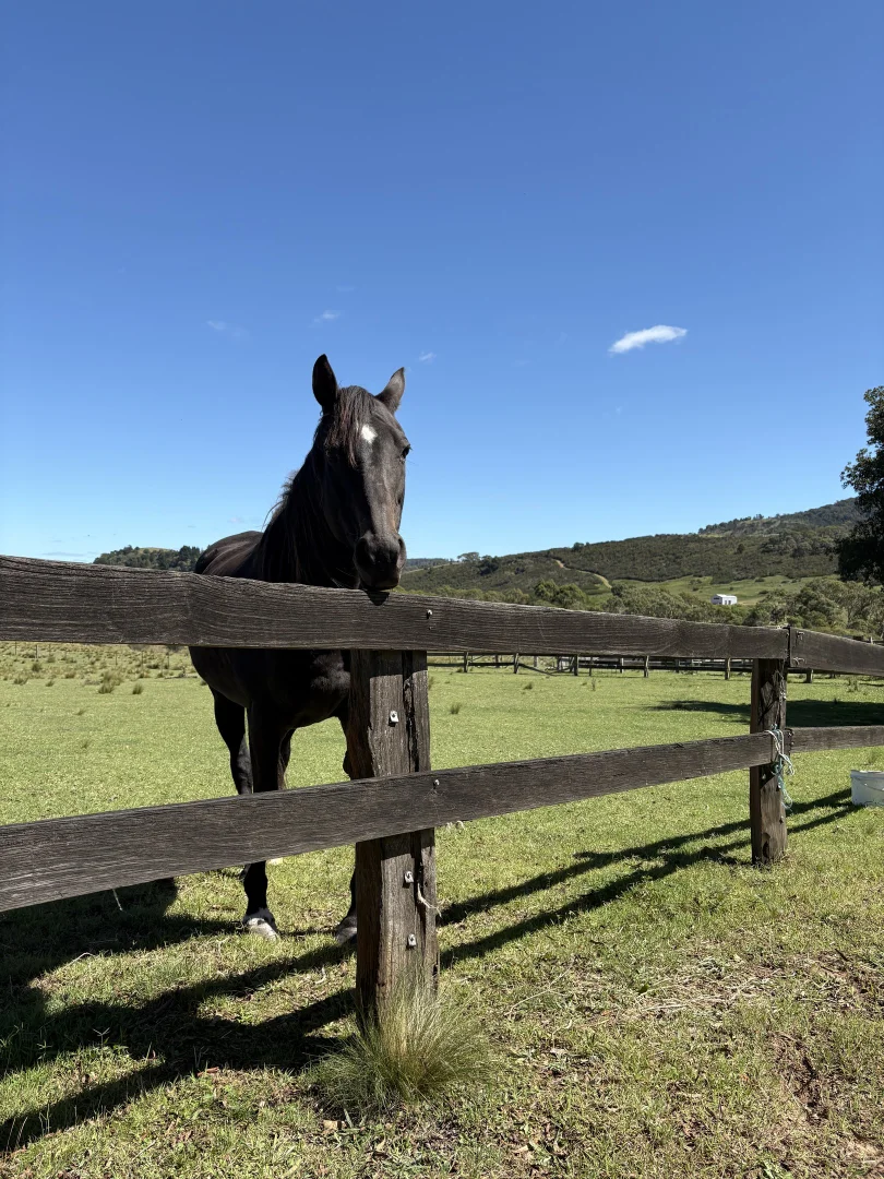 Additional image 6 of 51 Griffins Road, Wyanbene NSW 2622