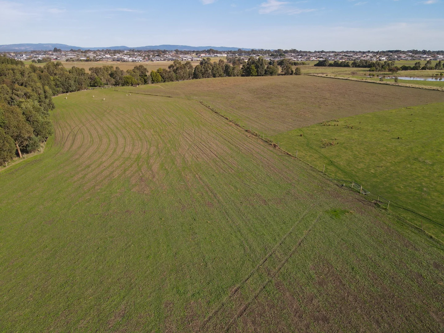 Additional image 9 of 2 Grammar Drive, Traralgon VIC 3844