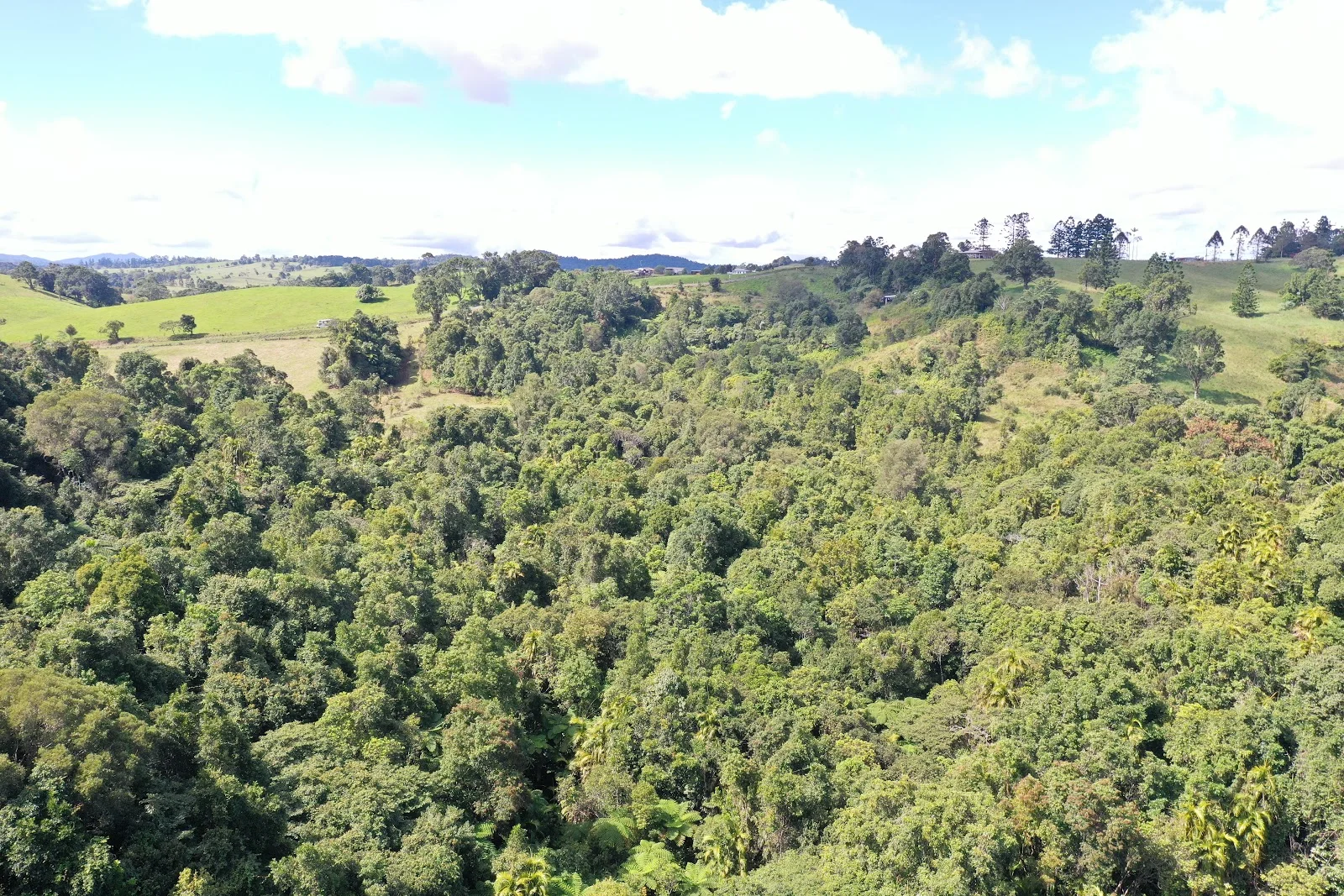 Additional image 6 of 581 Theresa Creek Road, Millaa Millaa QLD 4886