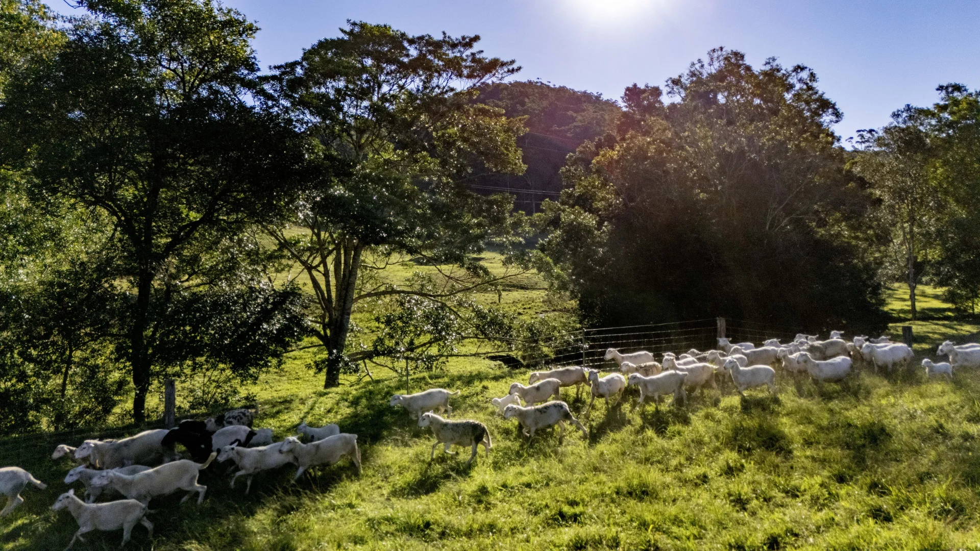 Additional image 36 of 492 River Road, Peachester QLD 4519