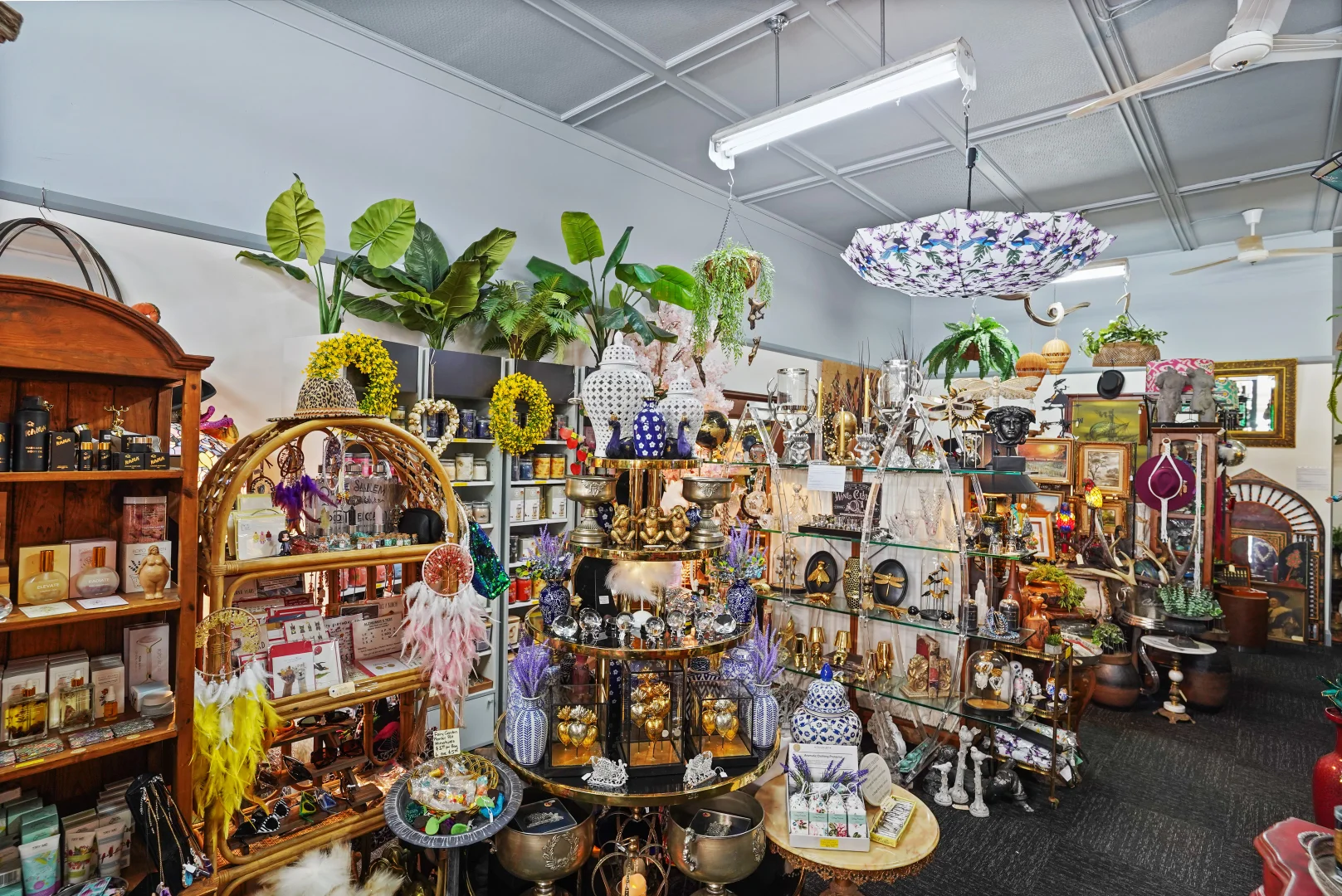 Additional image 11 of 45 Gaskill Street, Canowindra NSW 2804