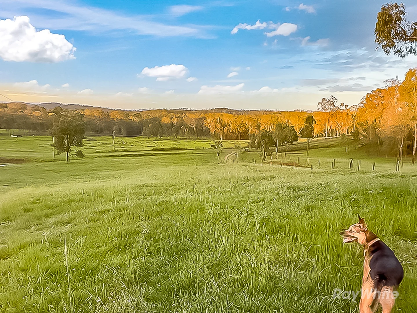 Additional image 35 of 199 Friarbird Drive, Moolboolaman QLD 4671