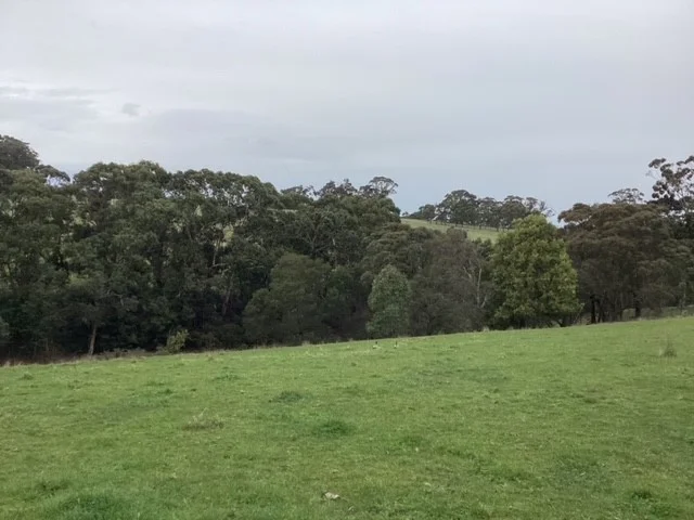 Additional image 14 of 236 Morrisons Lane, Korobeit VIC 3341