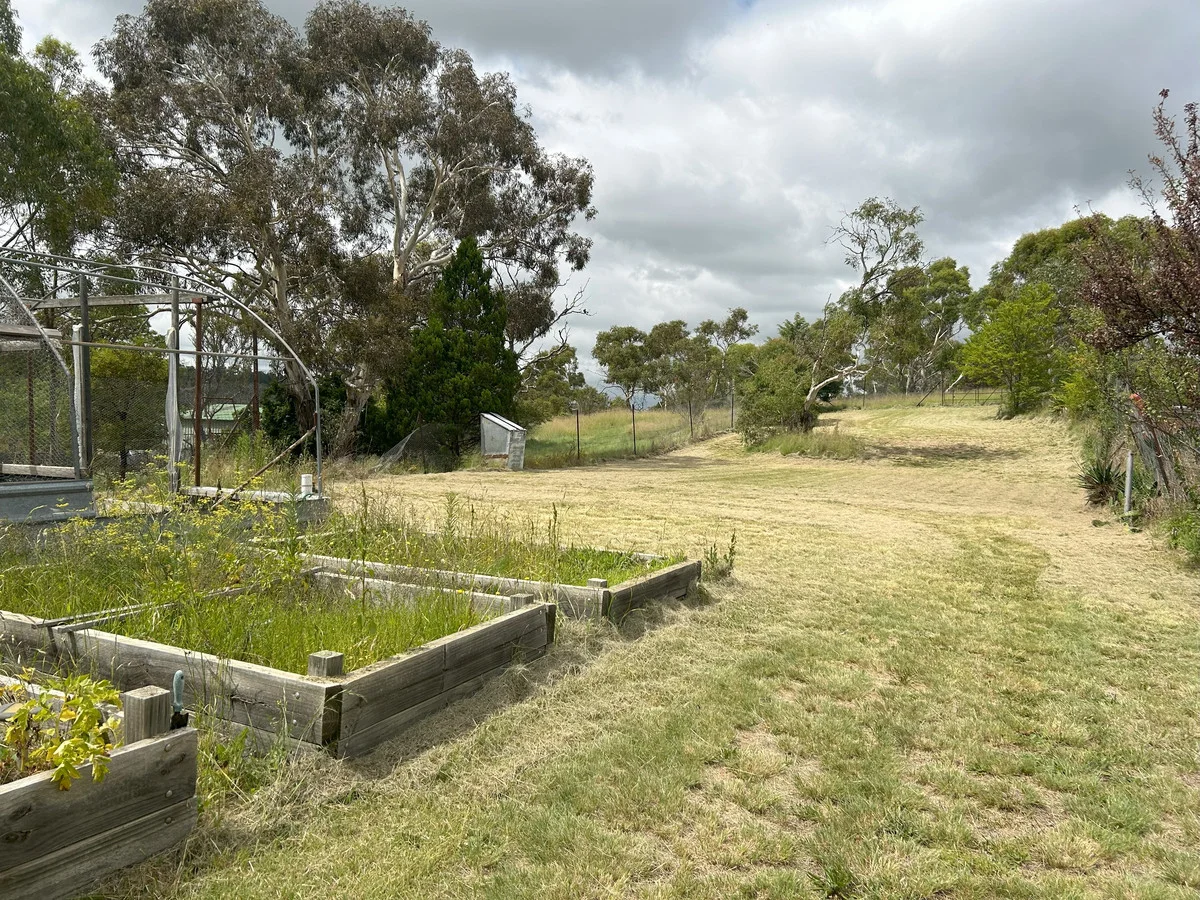 Additional image 29 of 19 Culey Avenue, Cooma NSW 2630