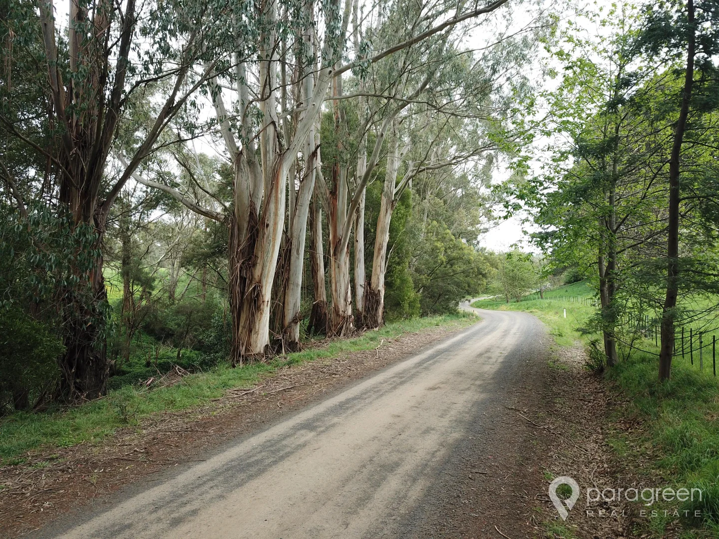 Additional image 10 of 140 Franklin River Road, Toora VIC 3962