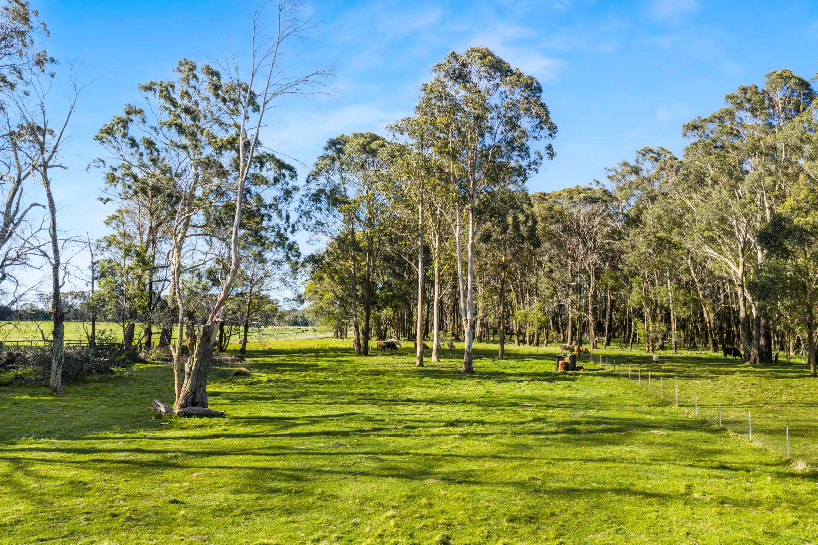 Additional image 21 of 301 Sallys Corner Road, Exeter NSW 2579