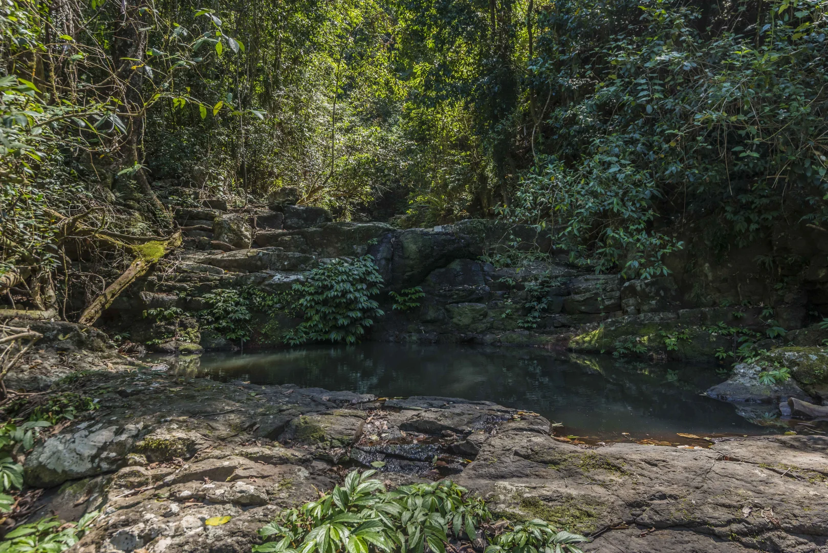 Additional image 29 of 76 Maso Road, Repentance Creek NSW 2480