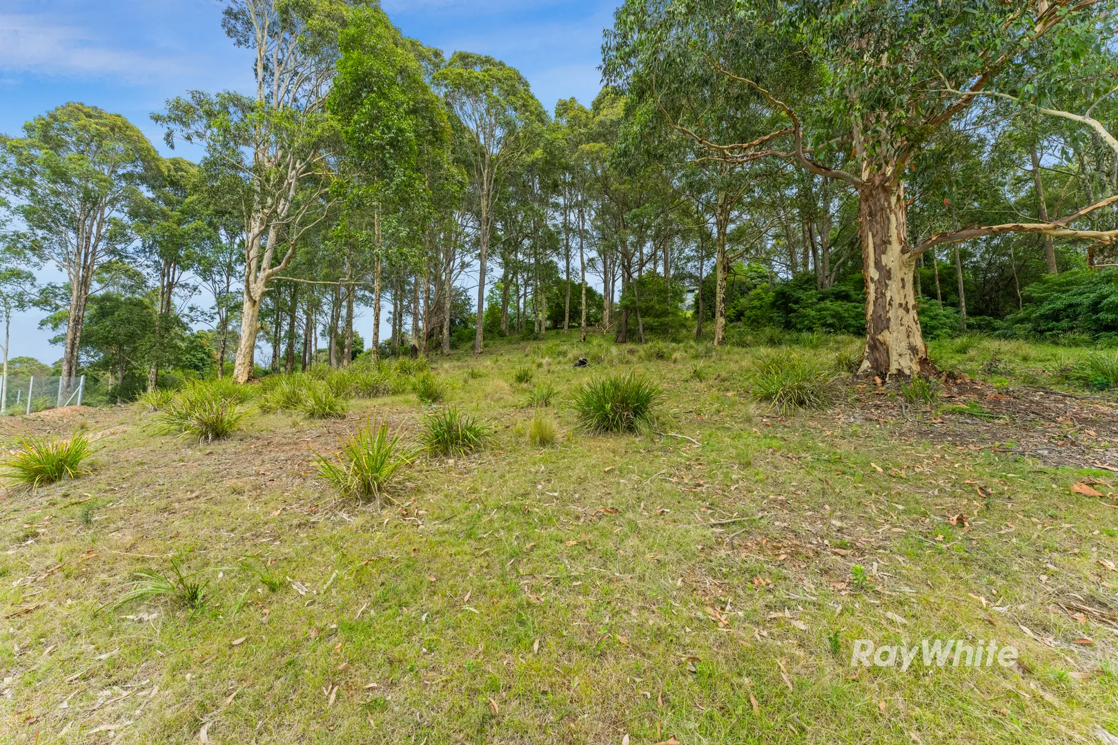 Additional image 2 of 33 Berrima Street, Catalina NSW 2536