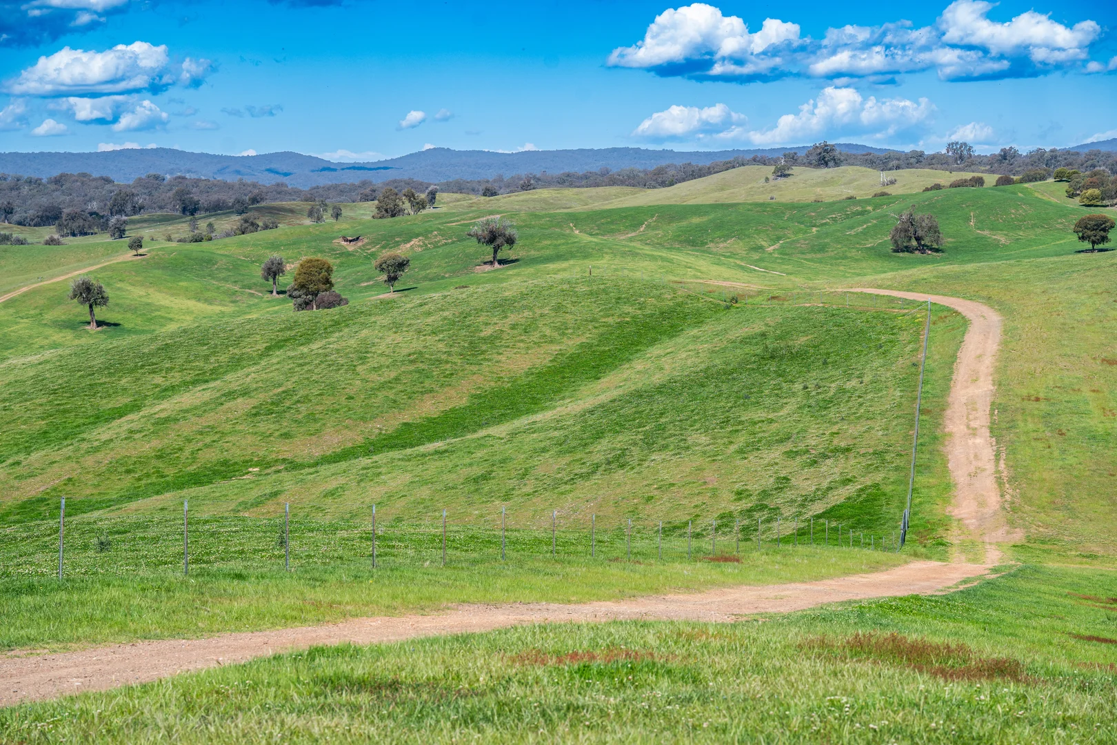 Additional image 20 of 13759 Hume Highway, Mullengandra NSW 2644