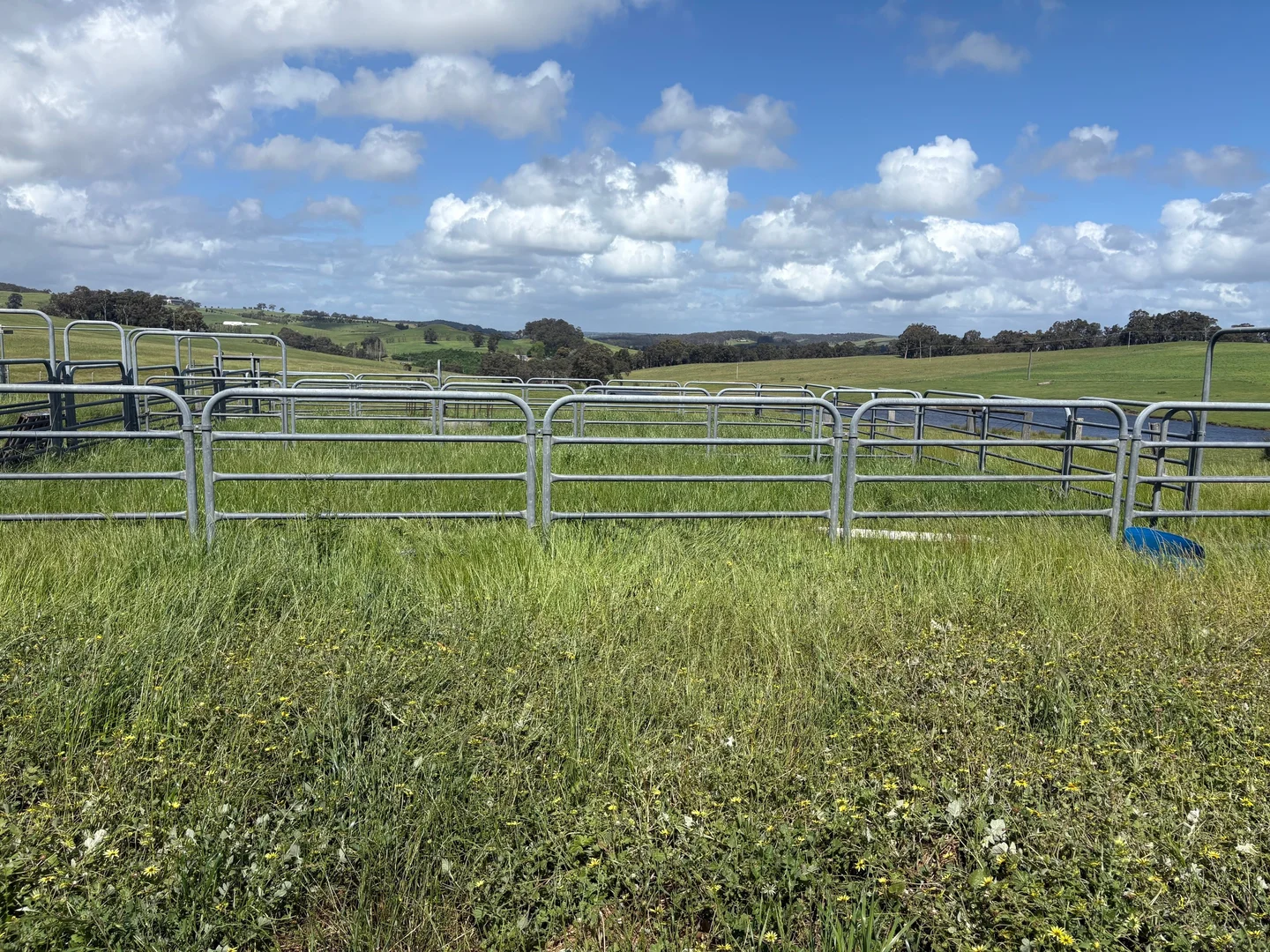 Additional image 8 of Lot 72 Beelerup Road, Beelerup WA 6239