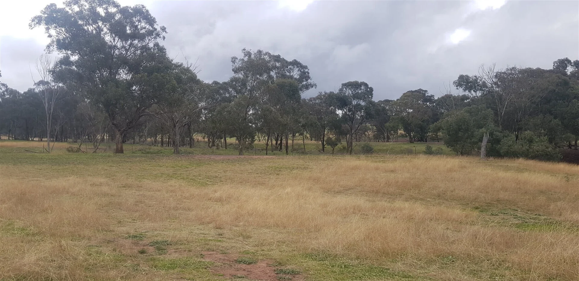 Additional image 8 of 655 Monaghans Rd, Manildra NSW 2865