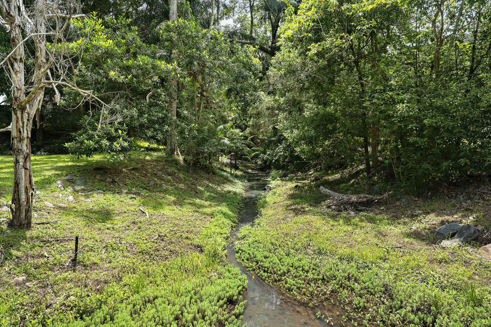 Additional image 13 of 908 Currumbin Creek Road, Currumbin Valley QLD 4223
