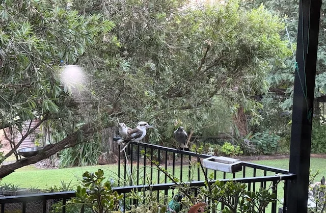 Additional image 33 of 188 Leathers Road, Boolboonda QLD 4671