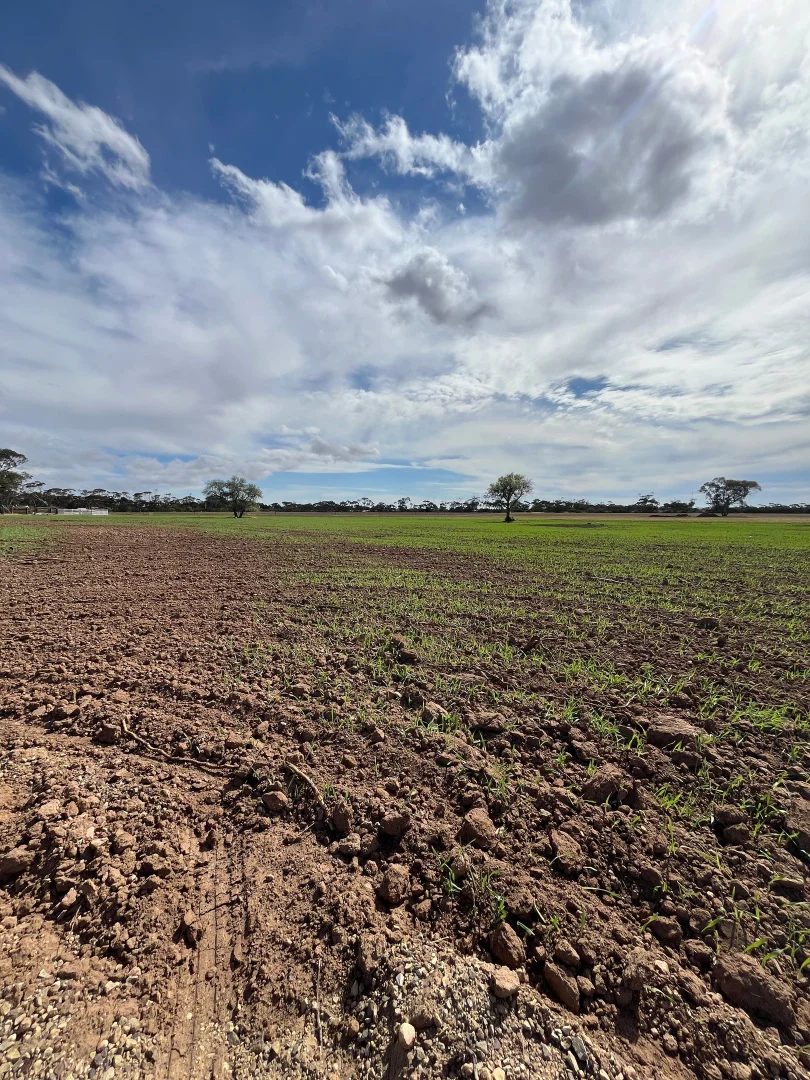 Additional image 4 of Section 351 Upper Yorke Rd, Bute SA 5560