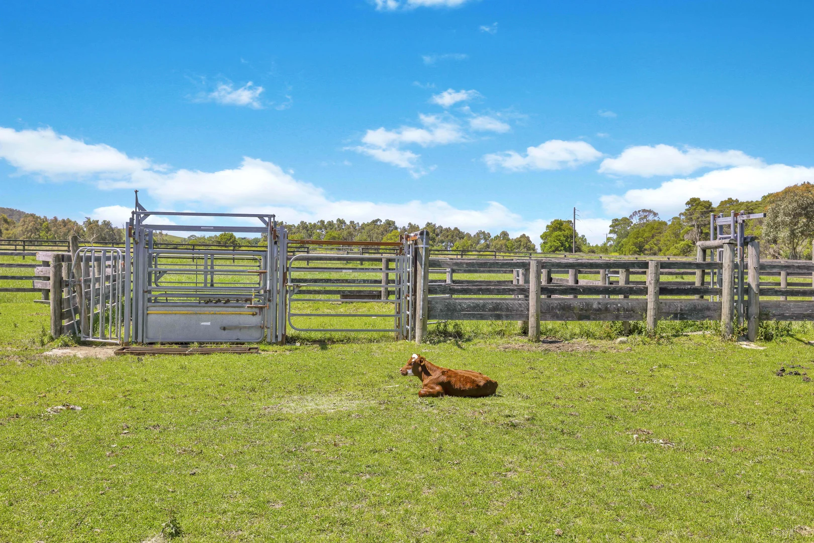 Additional image 18 of Almurta VIC 3979