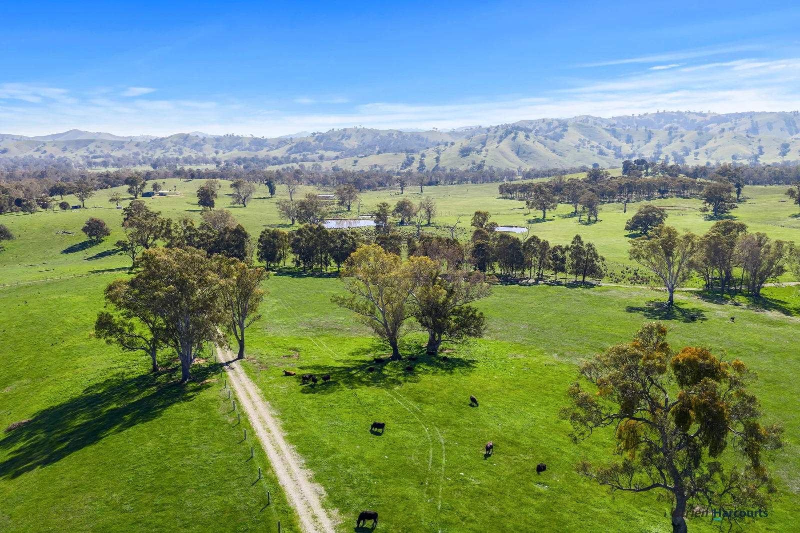 Additional image 22 of 2222 Goulburn Valley Highway, Alexandra VIC 3714