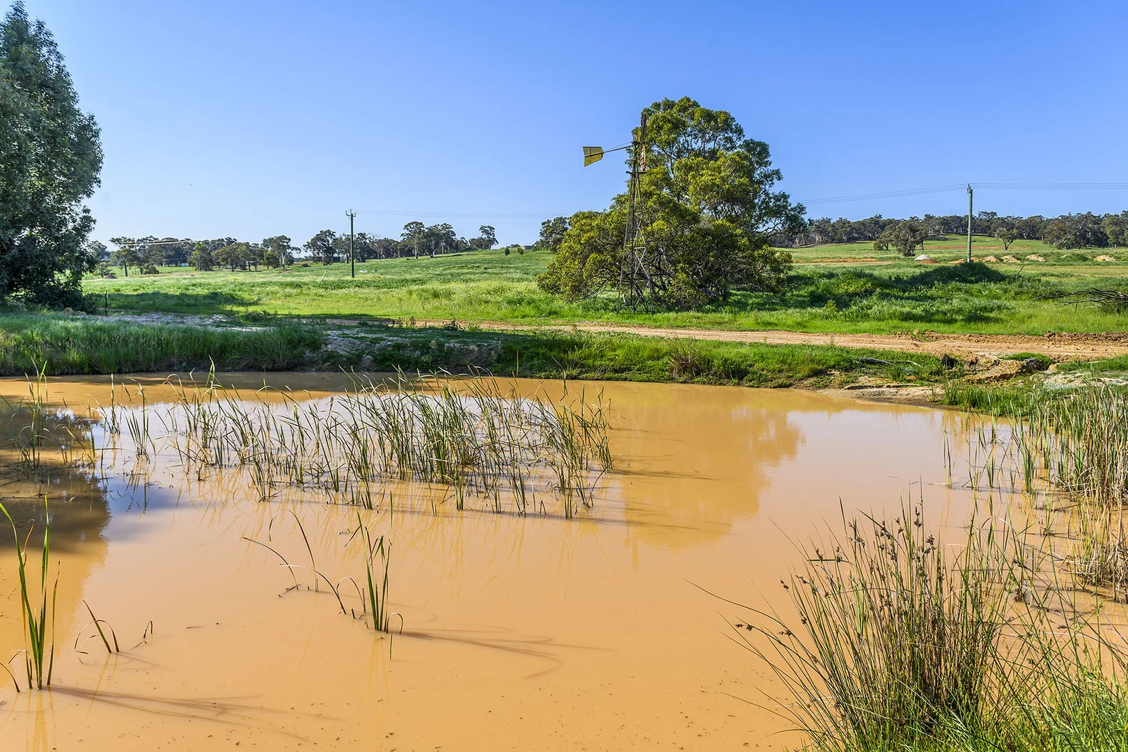 Additional image 23 of Guernsey Rise, Lower Chittering WA 6084