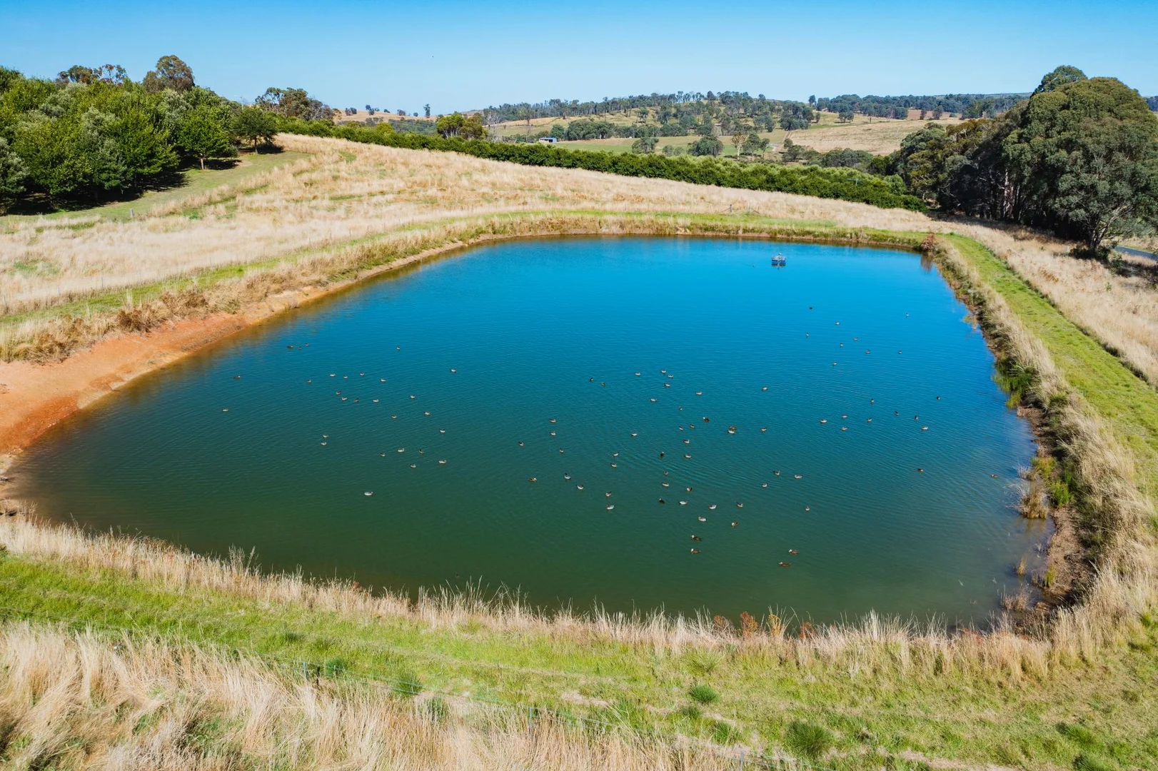 Additional image 4 of 1 Willigobung Road, Tumbarumba NSW 2653