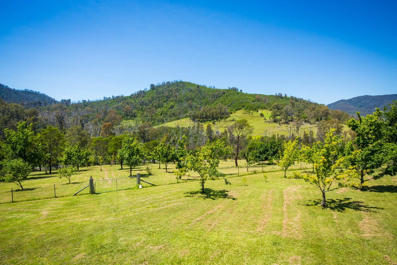 Additional image 35 of 2903 Mount Darragh Road, Wyndham NSW 2550