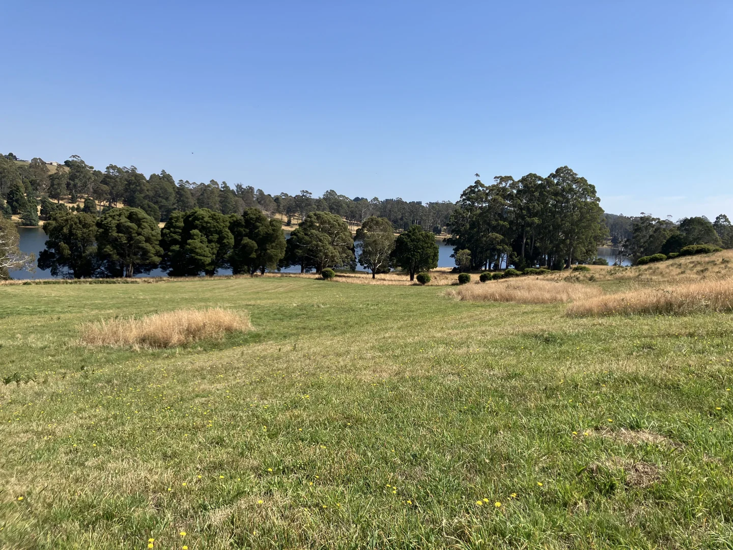 Additional image 25 of 729 Circular Road, Ridgley TAS 7321