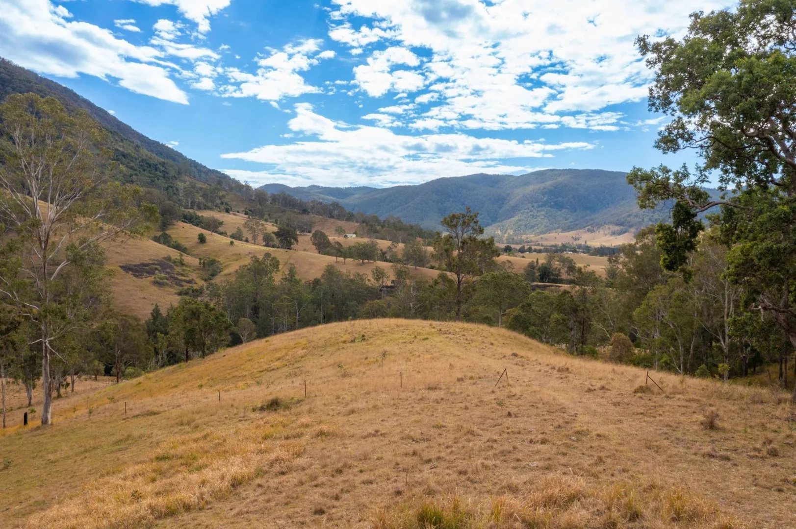 Additional image 16 of Lot 24 209 Tobins River Road, Mount Seaview NSW 2446