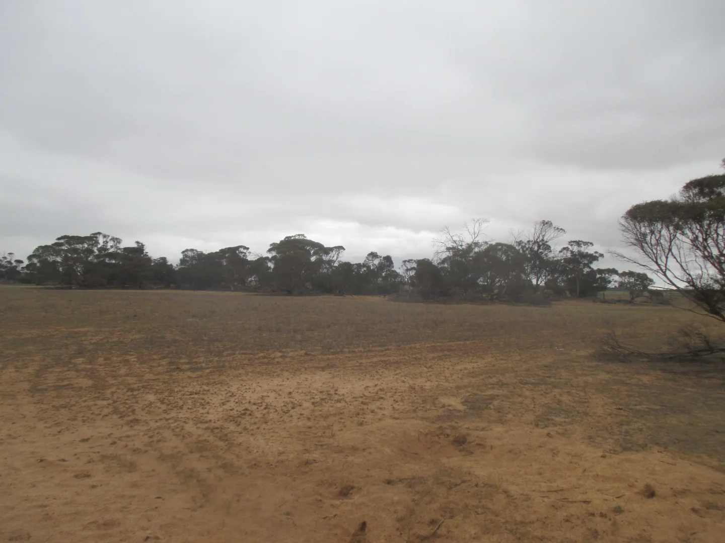 Additional image 17 of Lot 1 Stones Track & Lot 17 Kulkami Road, Karoonda SA 5307