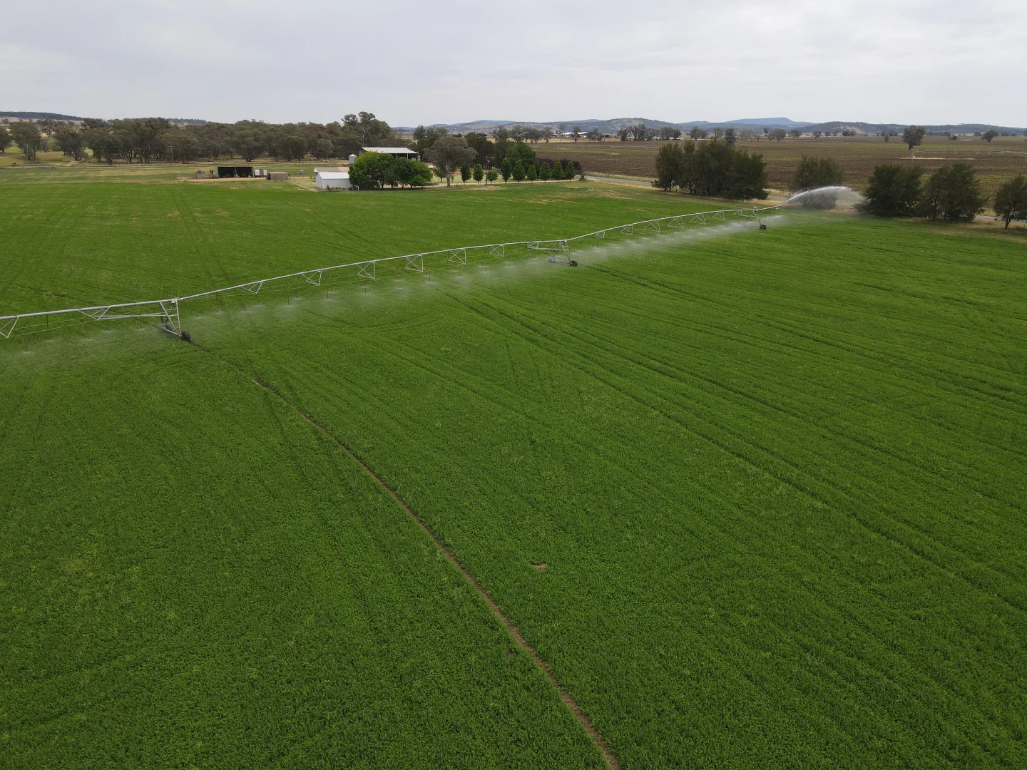 Additional image 11 of 349 Nangar Road, Canowindra NSW 2804