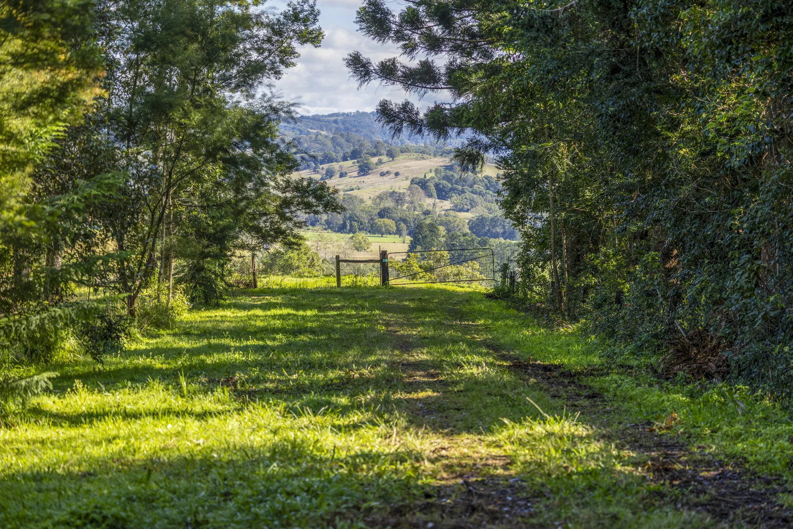 Additional image 19 of 27A Paradise Court, McLeans Ridges NSW 2480