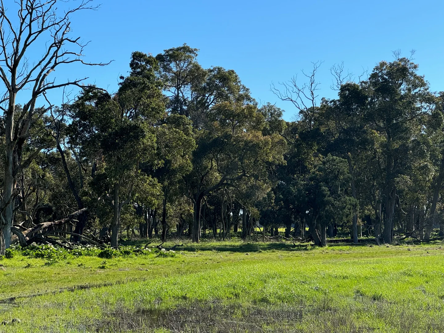 Additional image 3 of Lot 2339 Cnr Edwards & Doyle Road (Ambergate), Busselton WA 6280