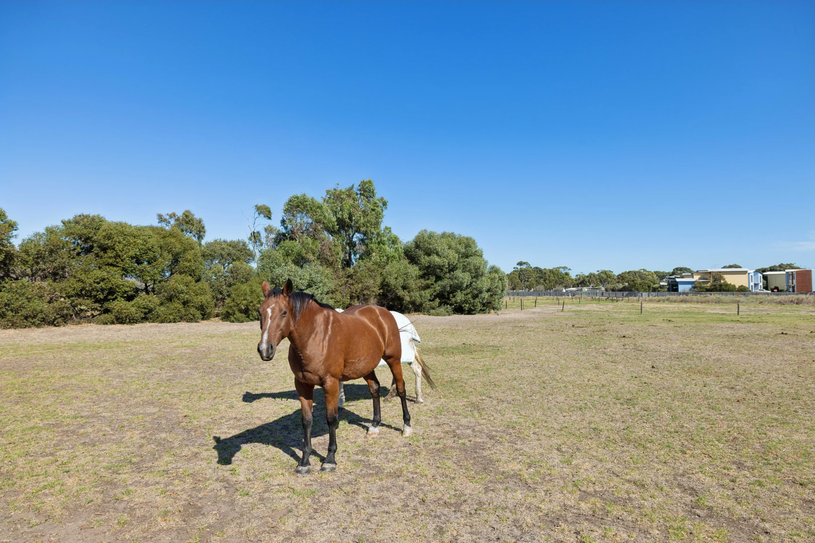 Additional image 26 of 119 Williss Drive, Normanville SA 5204