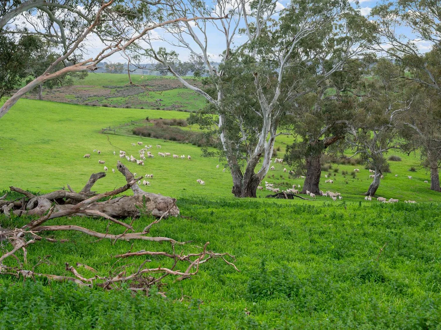 Additional image 26 of 3786 Casterton Edenhope Road, Chetwynd VIC 3312