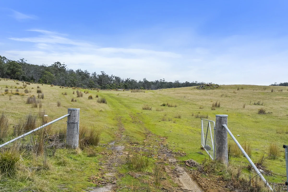 Additional image 4 of 1 & 2 Bresnehans Road, Little Swanport TAS 7190