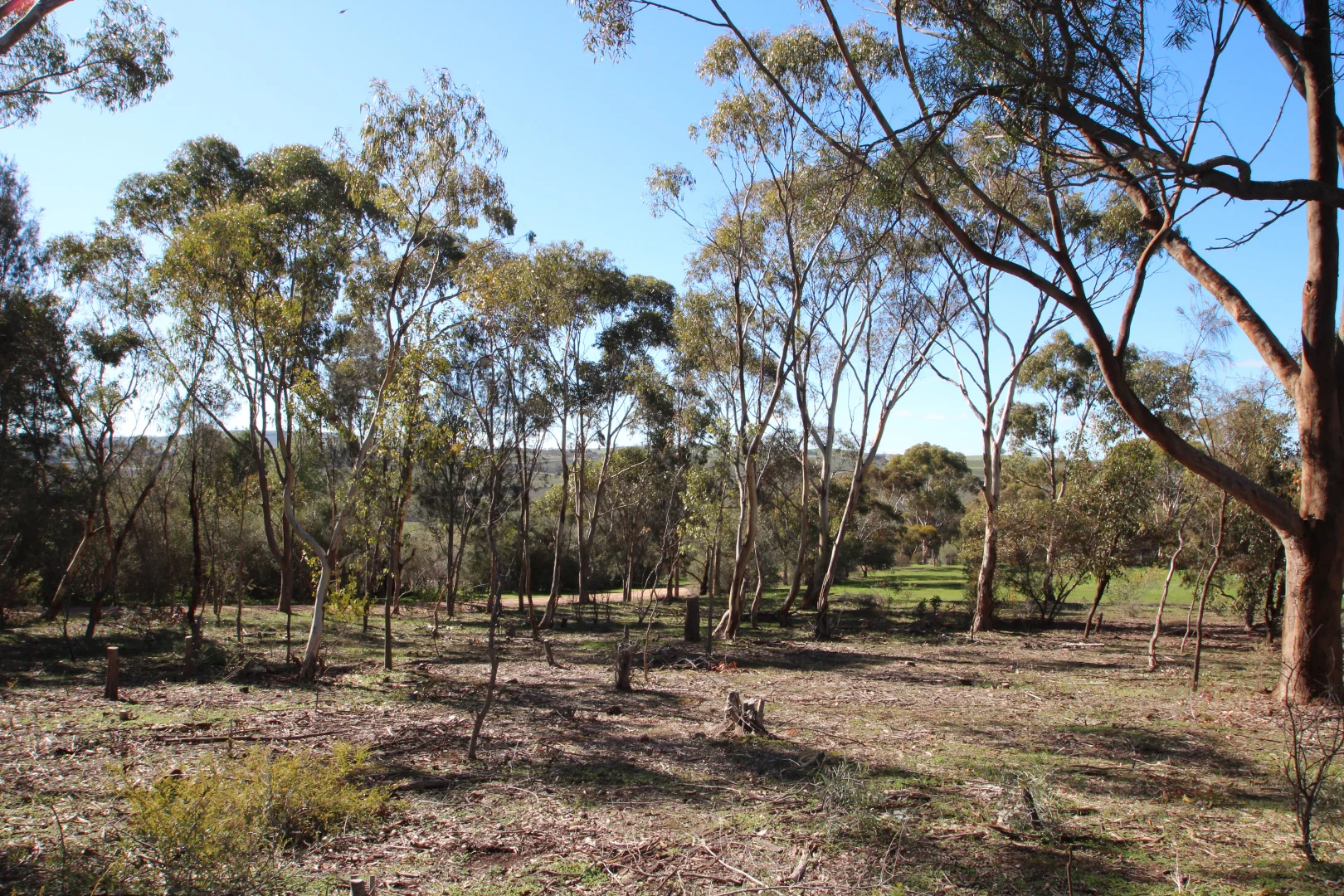 Additional image 8 of 9 West Terrace, Leasingham SA 5452