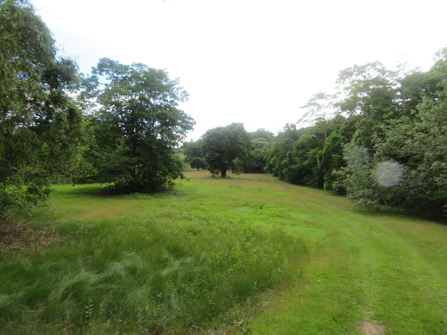 Additional image 22 of 364 Coquette Point Road, Coquette Point QLD 4860