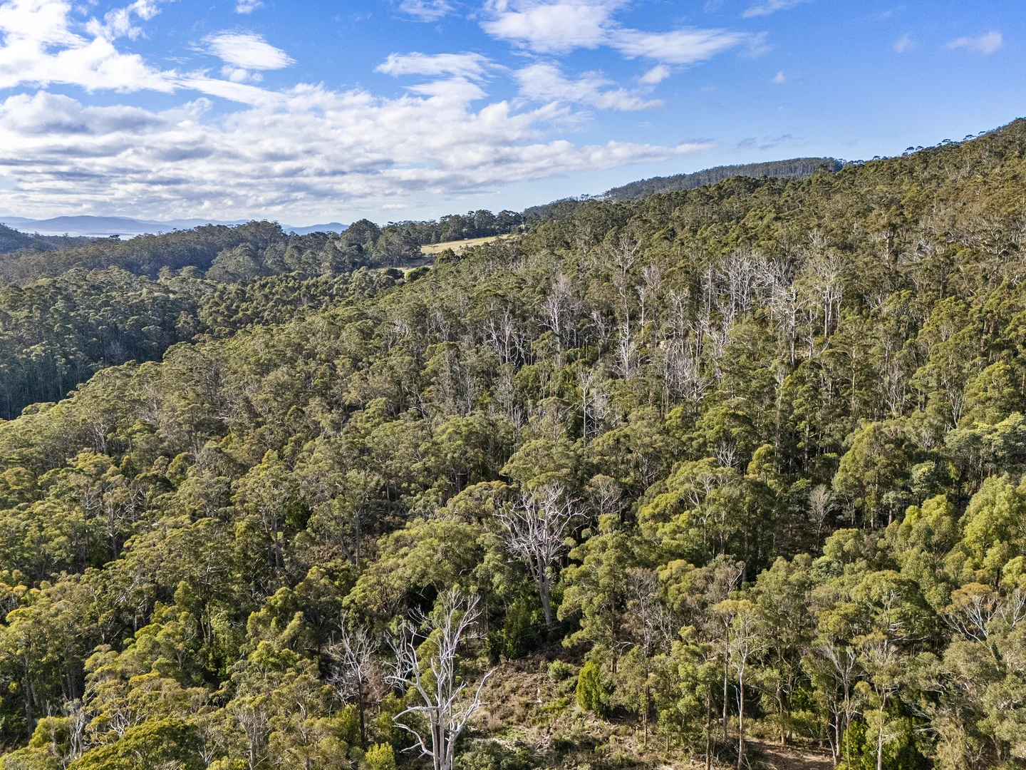 Additional image 13 of Lot 4 Tip Road, Nubeena TAS 7184