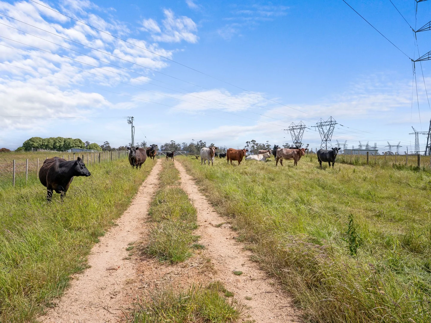 Additional image 17 of Dalwood Road, Nook TAS 7306