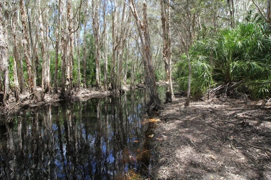 Additional image 18 of 9 Coe Road, Deepwater QLD 4674