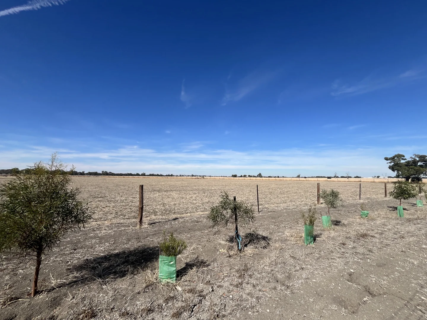 Additional image 3 of Proposed Lot Pigeon Flat Road, Bordertown SA 5268
