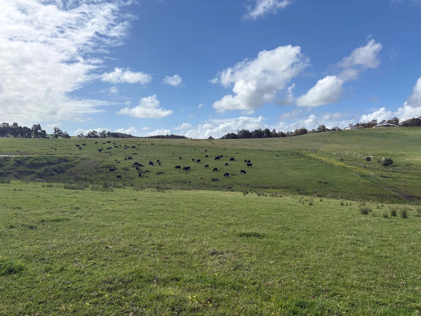 Additional image 11 of Lot 72 Beelerup Road, Beelerup WA 6239