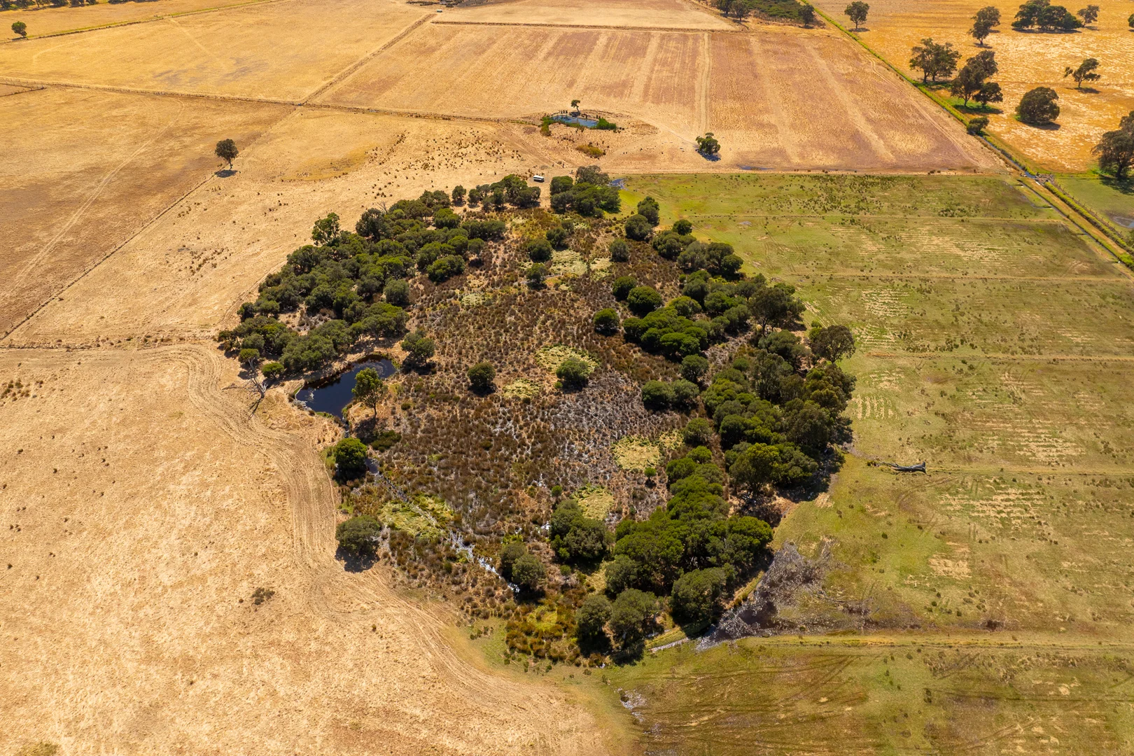 Additional image 9 of 230 Wellesley Road, Brunswick WA 6224