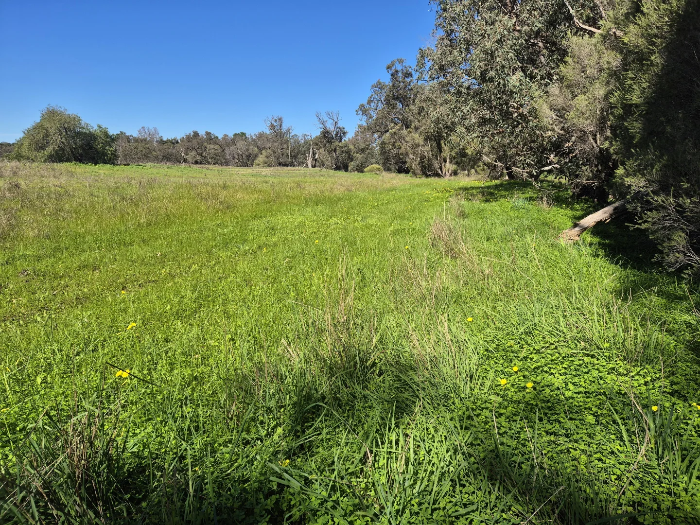 Additional image 9 of 190 Flourmill Cove, Cowalla WA 6503