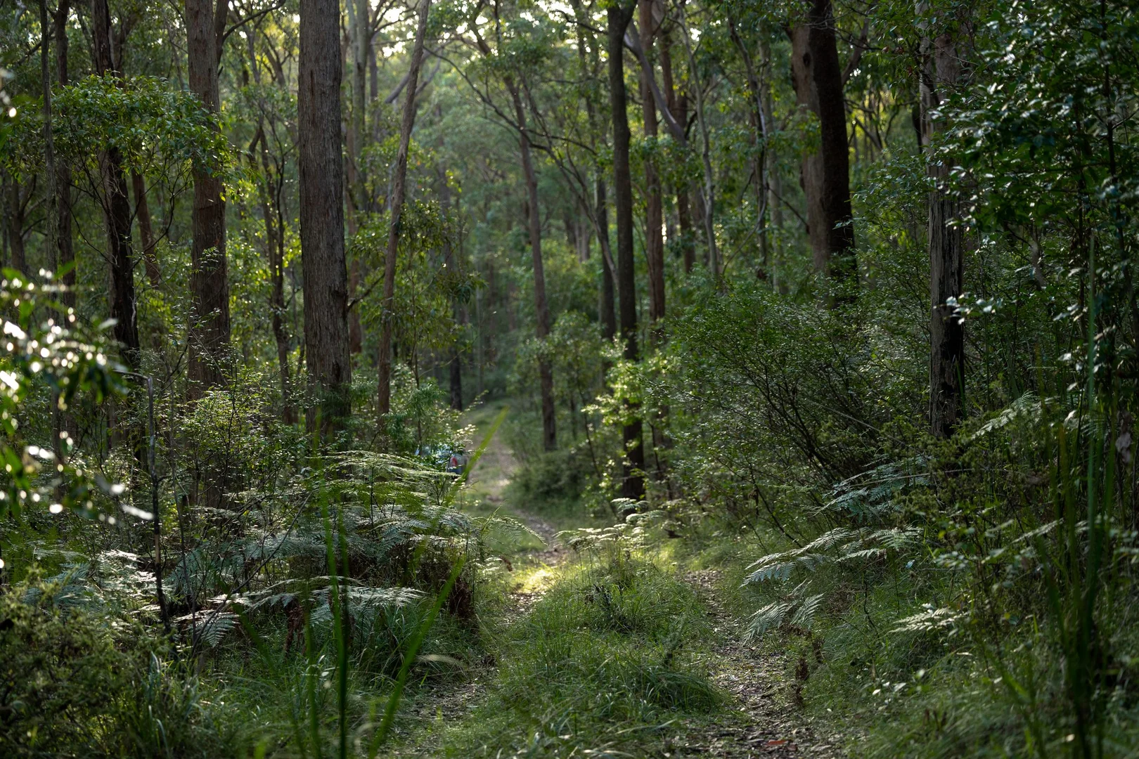 Additional image 6 of 706 MOONABUNG ROAD, Vacy NSW 2421