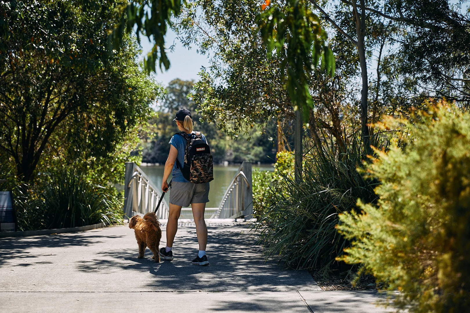 Additional image 15 of 112/26-36 Shottery Street, Yeronga QLD 4104