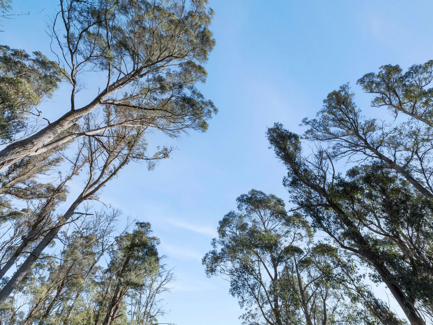 Additional image 6 of Lot 0 Goss Road, Railton TAS 7305