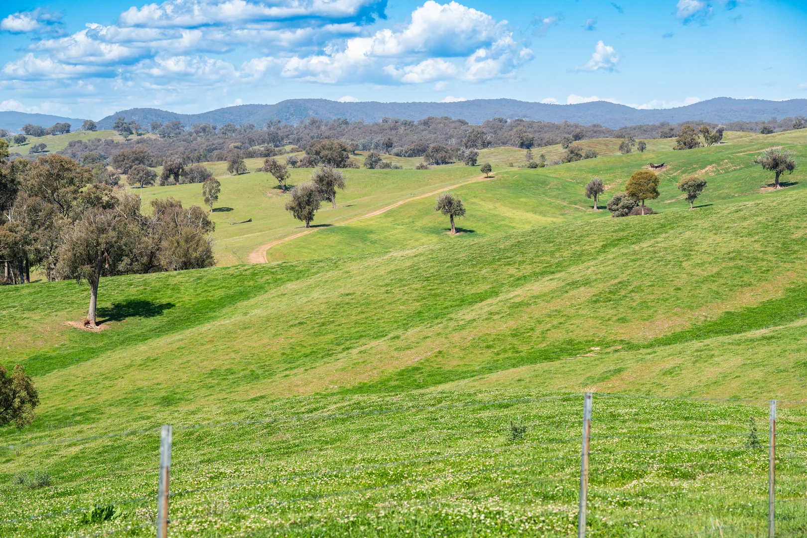 Additional image 18 of 13759 Hume Highway, Mullengandra NSW 2644