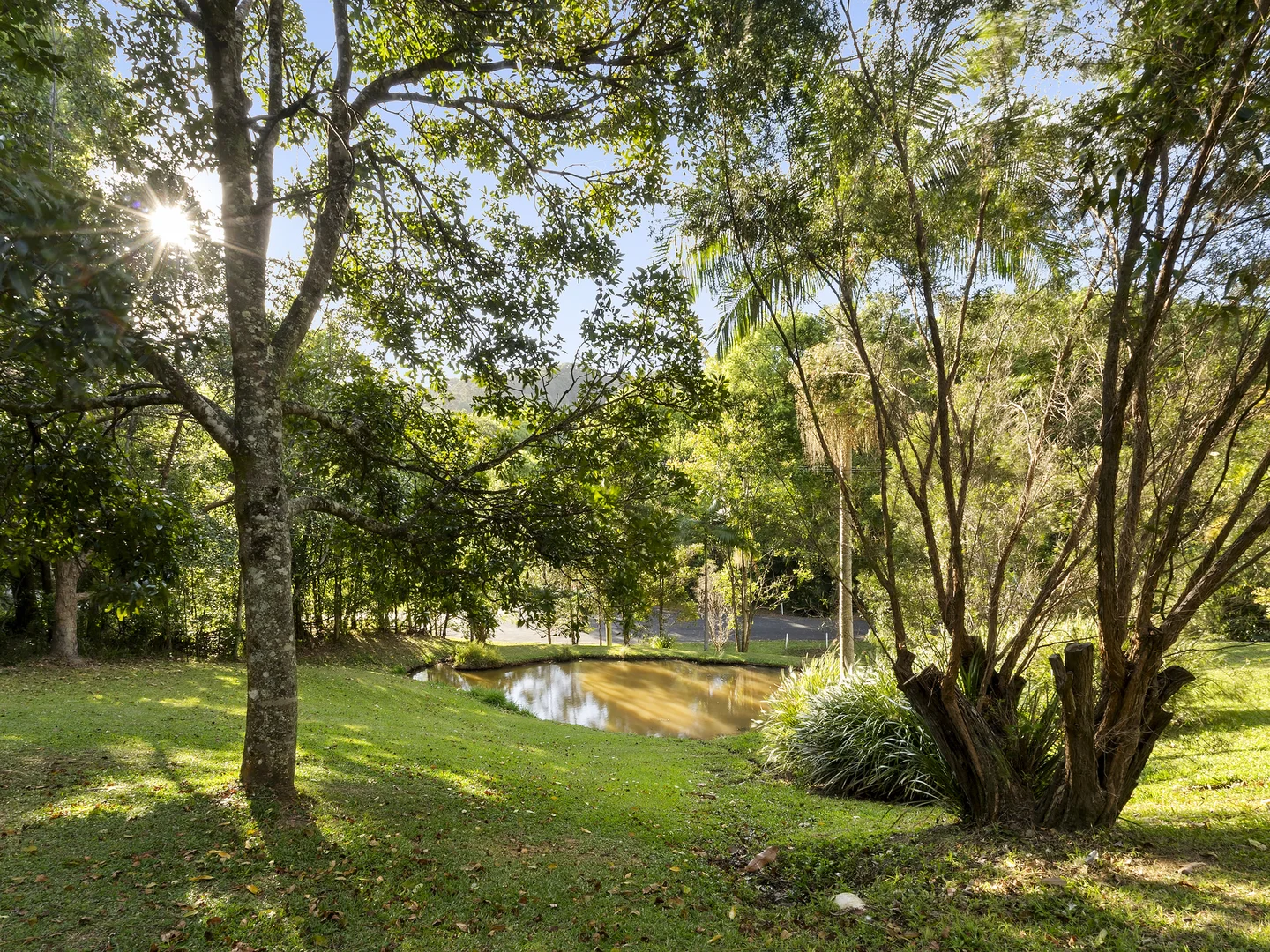 Additional image 6 of 37 Condor Place, Clothiers Creek NSW 2484