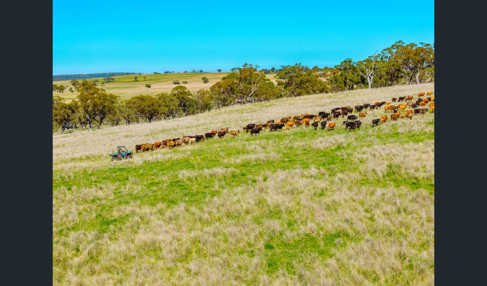 Flaggs Road, Merriwa NSW 2329