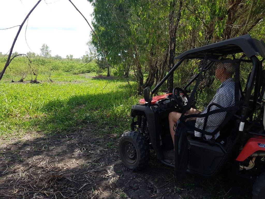 Additional image 6 of Bynoe NT 0822